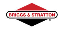 Briggs Stratton